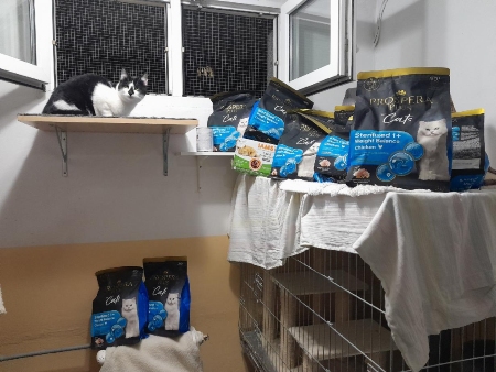 Centrum 1. pomoci pro kočky, z. s